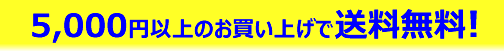 5,000±ß°Ê¾å¤Î¤ªÇ㤤¾å¤²¤ÇÁ÷ÎÁ̵ÎÁ¤Ç¤¹¤è¡ª