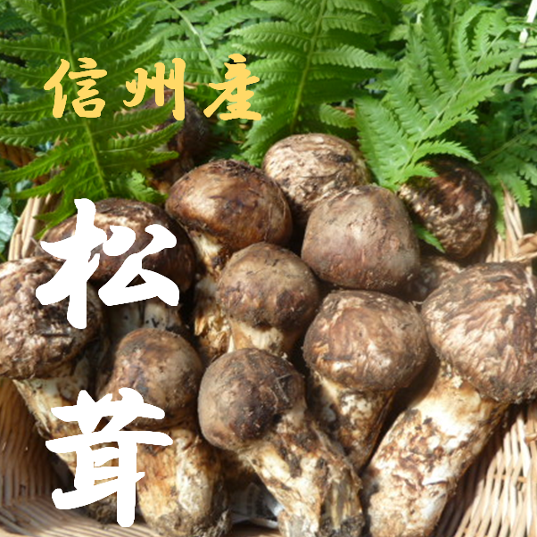 送料無料】長野県産松茸 200ｇ